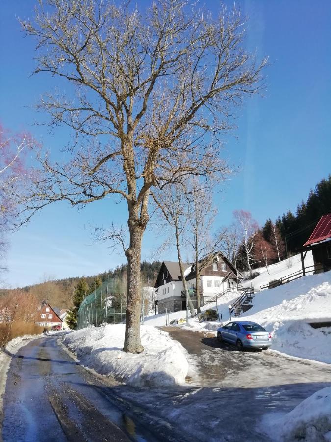 Villa Sedmikráska Horní Maršov Esterno foto