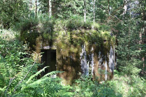 Villa Sedmikráska Horní Maršov Esterno foto